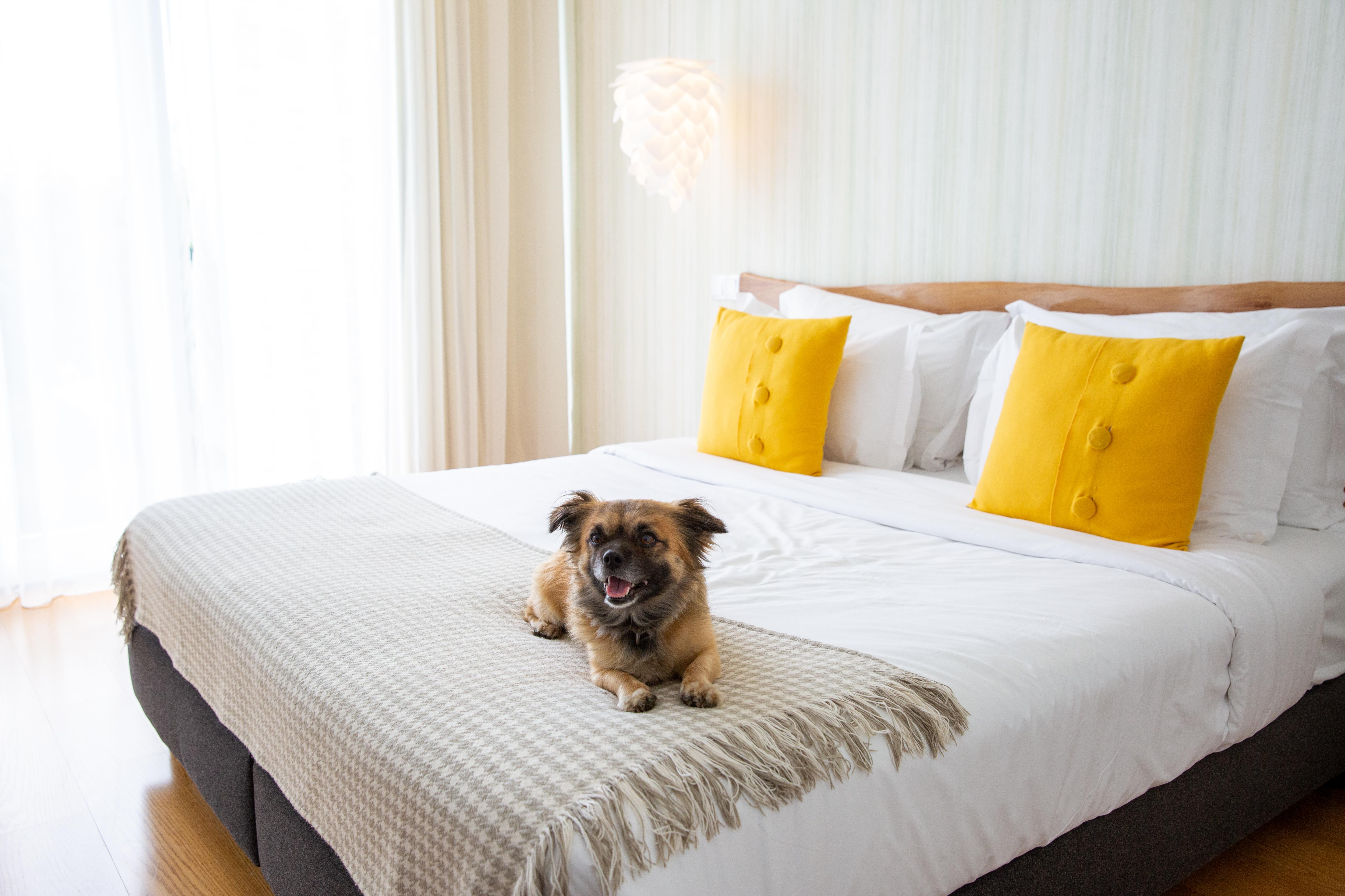 Cerca Design House Hotel Donas Buitenkant foto